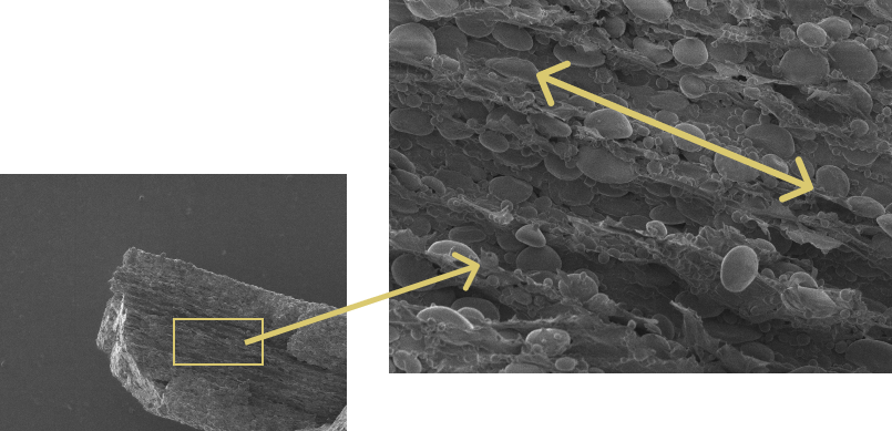 三輪素麺の組織